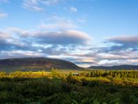 Morgenlicht um 4:30 Uhr in Westisland